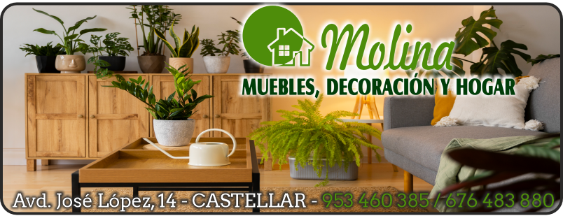 800x300 muebles molina