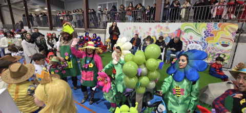 Fotografías y Video Carnaval Castellar 2025