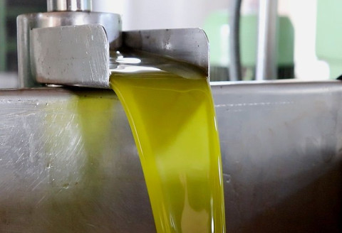 Castellar celebra la III Fiesta del Primer Aceite el 16 de noviembre de 2025